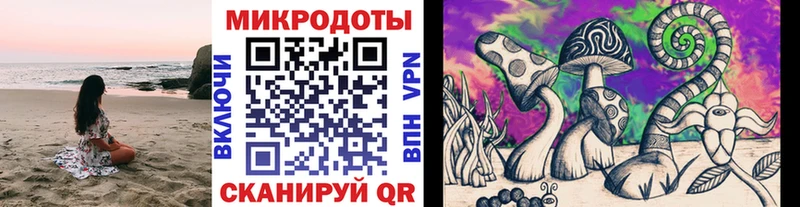 Купить  Сланцы  Галлюциногенные грибы ЛСД 